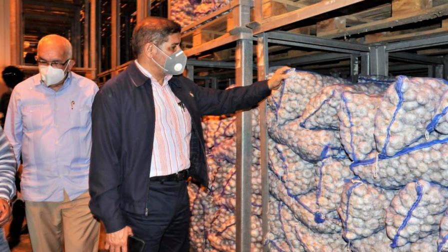 Agricultura inicia temporada de siembra de ajo en Constanza 