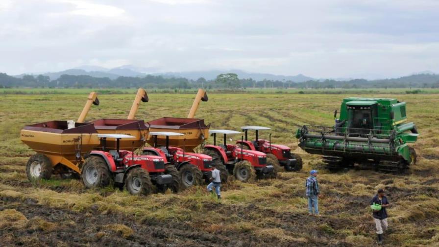 Gobierno promete mejoras para fortalecer el sector arrocero y garantizar la estabilidad de la producción