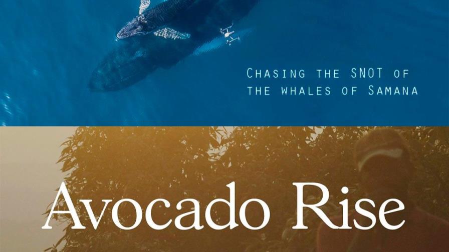 Se presentan dos cortos documentales filmados en República Dominicana en el festival SUNCINE de México y Barcelona