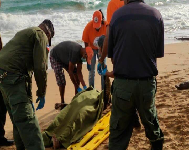 Al menos cinco fallecidos durante naufragio en La Altagracia; rescatan siete personas 