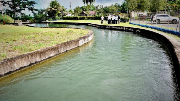 Egehid evalúa construir presa sobre el río Boba