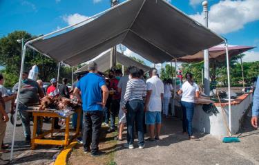 Este año se incrementó la venta de carne de pollo para Nochebuena, a un  precio más alto - Diario Libre