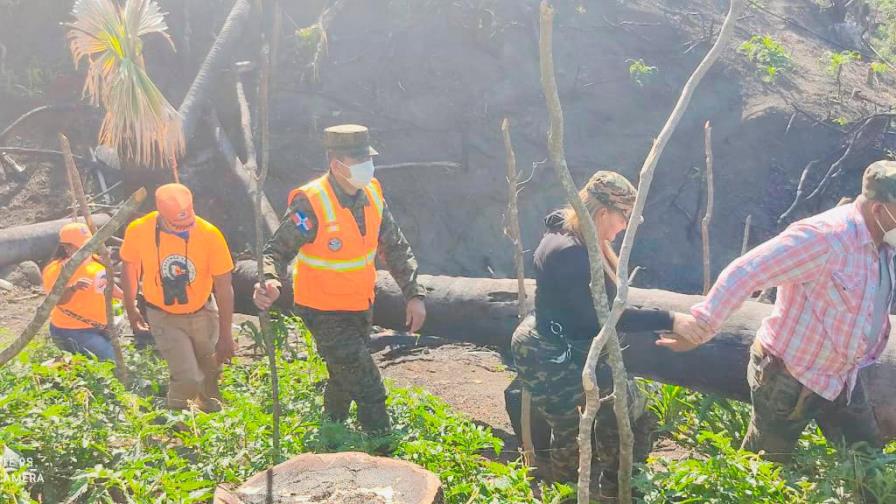 Realizan levantamiento de los daños ocasionados por incendio forestal en Ocoa 