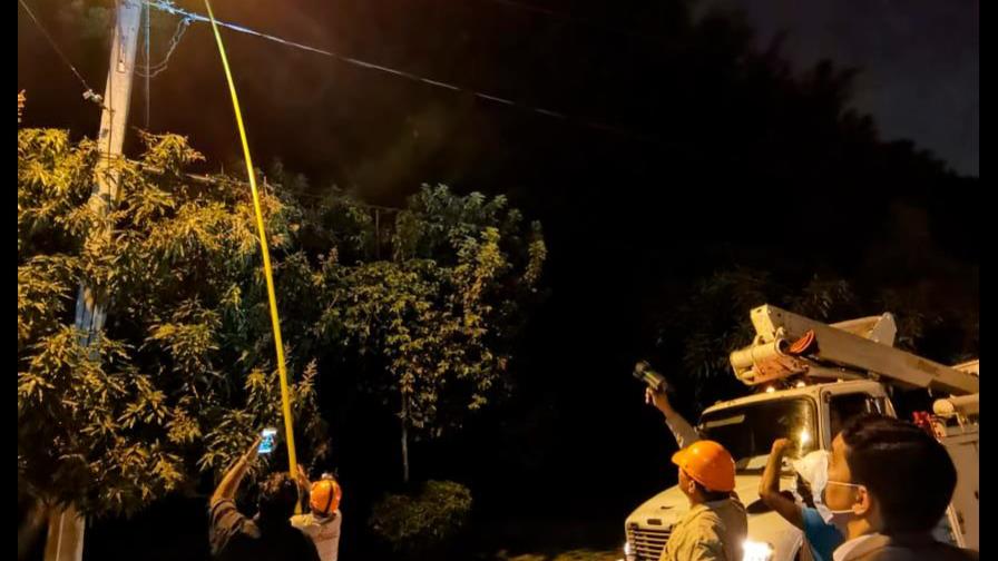Edesur salva a pequeña ave de morir