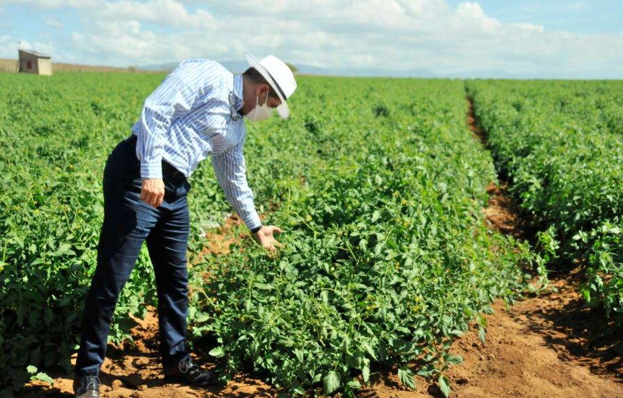 En el Sur, Gobierno inyecta más de 767 millones de pesos a la agropecuaria en seis meses