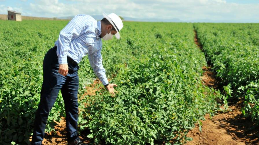 En el Sur, Gobierno inyecta más de 767 millones de pesos a la agropecuaria en seis meses