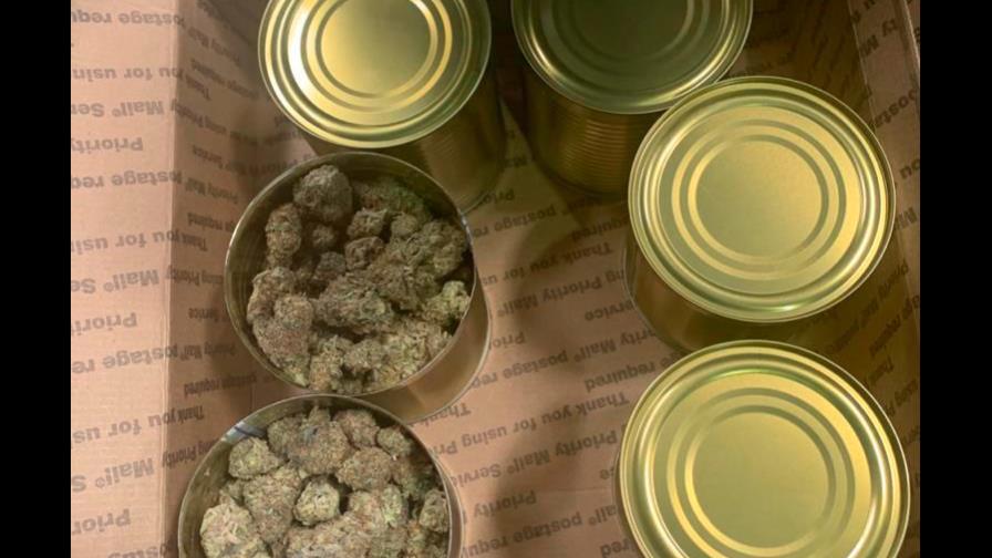 Autoridades del AILA preocupadas por el aumento de envíos de marihuana vía empresas de courier Autoridades del AILA preocupadas por el aumento de envíos de marihuana vía empresas de courier