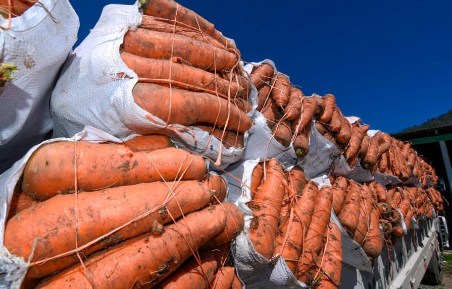 Ministerio de Agricultura gestiona venta de 55 mil quintales de zanahorias