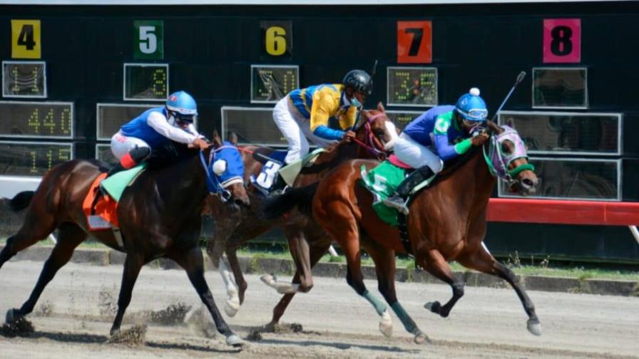 Carreras este martes en el V Centenario; Poolpote supera los 6.2 Millones de pesos Carreras este martes en el V Centenario; Poolpote supera los 6.2 Millones de pesos