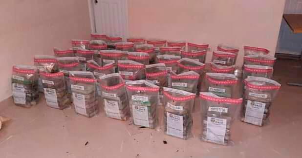 DNCD decomisa 232 paquetes de cocaína en El Seibo