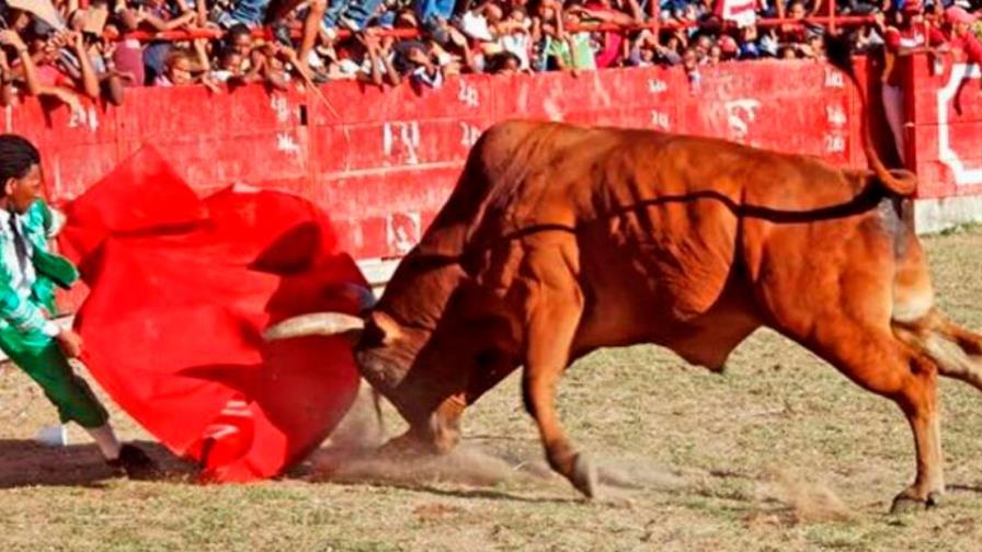Corrida de toros de El Seibo fueron suspendidas por segundo año consecutivo 