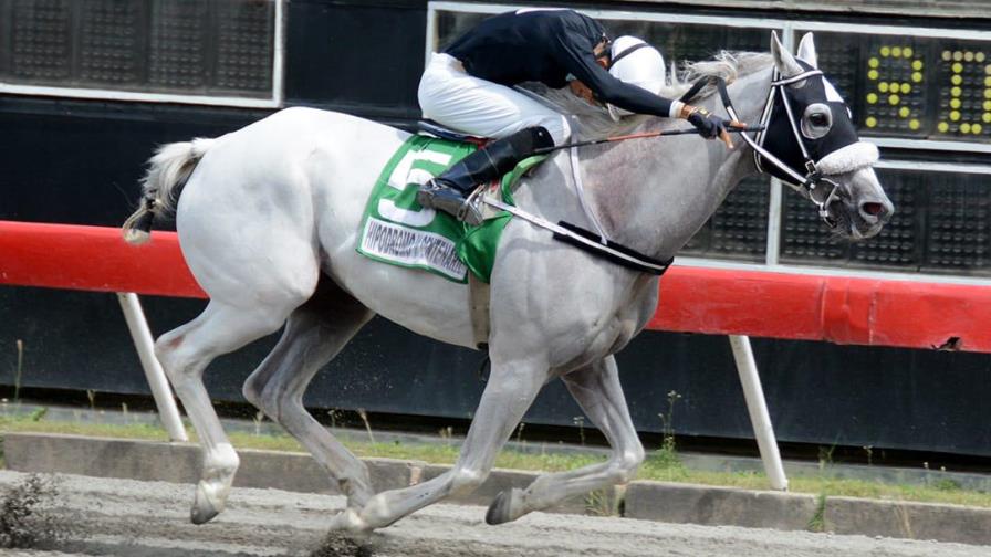 Maori sorprende en el V Centenario; pool paga 57 mil pesos