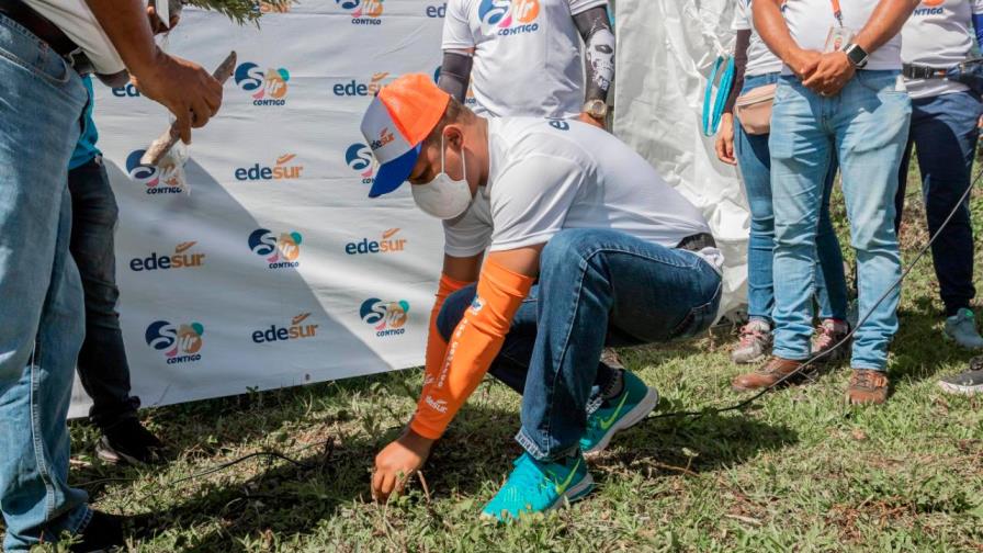 La Edesur siembra 4,800 árboles en los Mogotes de Villa Altagracia