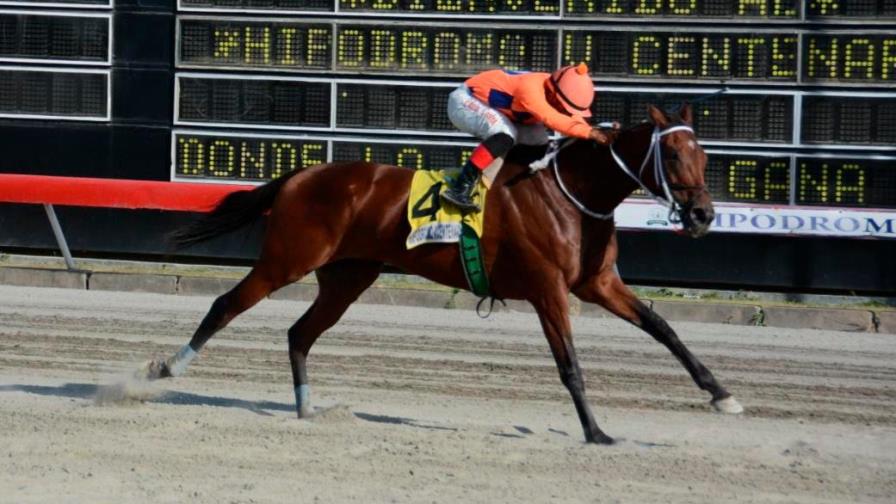 Tartaleta gana su cuarta carrera en línea