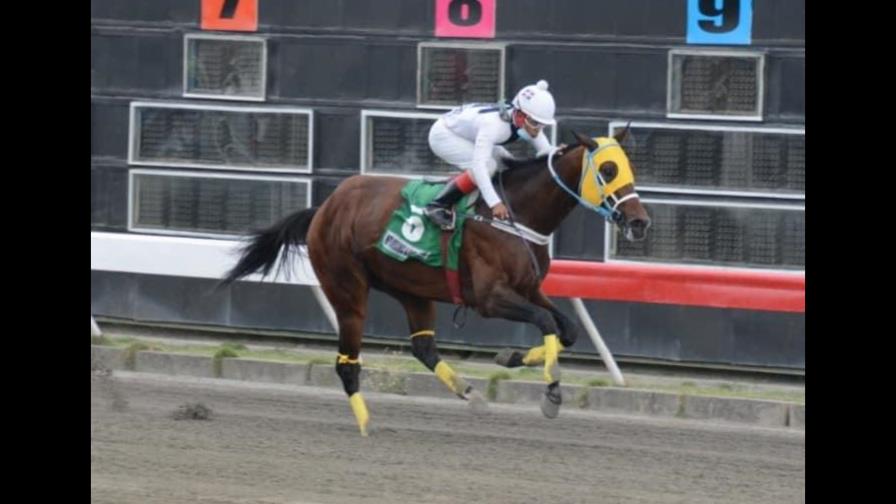 Aumenta el poolpote para la jornada del sábado en el V Centenario Aumenta el poolpote para la jornada del sábado en el V Centenario