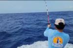 Vídeos | Cierran con éxito Torneo Internacional de Pesca al Marlin Blanco