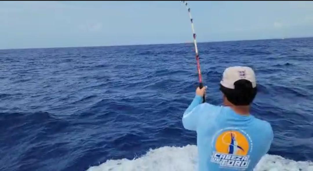 Con gran éxito se desarrolla el torneo de pesca por la captura del Marlins Blanco en Cabeza de Toro, en su versión 2021. (Fuente externa)