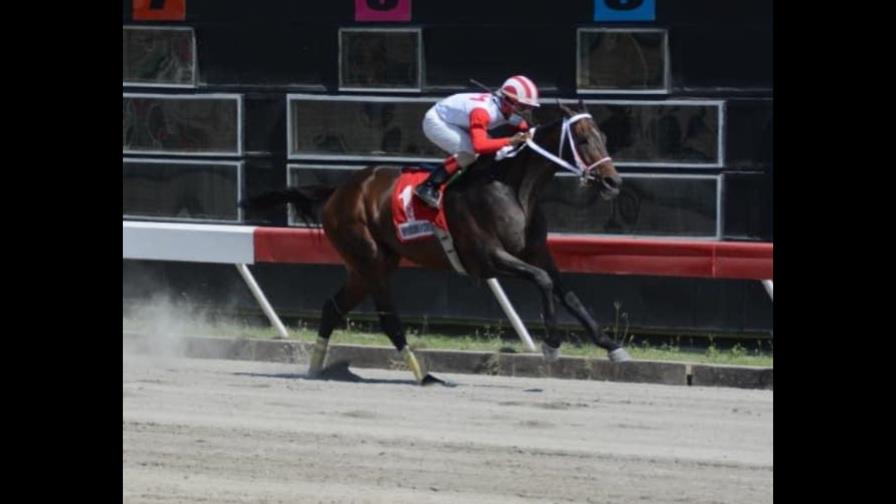 Suspenden cartel hípico en el V Centenario; los jinetes se negaron a montar