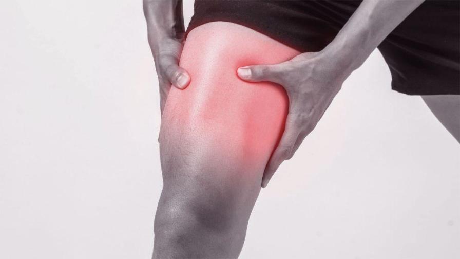 Logran reducir a la mitad el tiempo de curación de las lesiones musculares Logran reducir a la mitad el tiempo de curación de las lesiones musculares