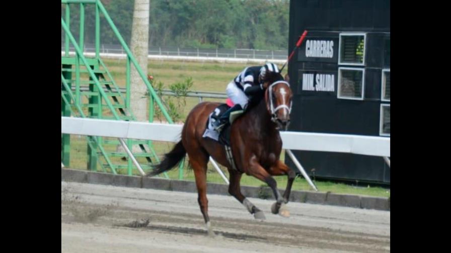 Fanático gana más de dos millones de pesos en el Hipódromo V Centenario