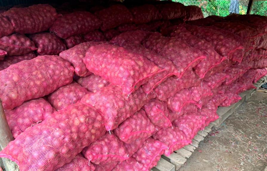 Gobierno comprará cebolla a productores de Ocoa