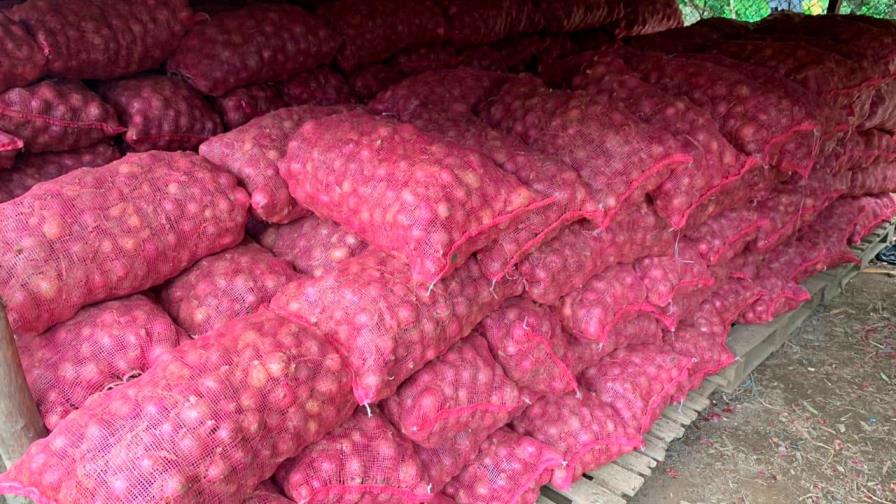 Gobierno comprará cebolla a productores de Ocoa
