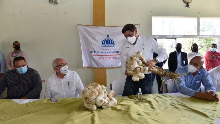 Logran acuerdo para impulsar la productividad y comercialización del ajo Logran acuerdo para impulsar la productividad y comercialización del ajo