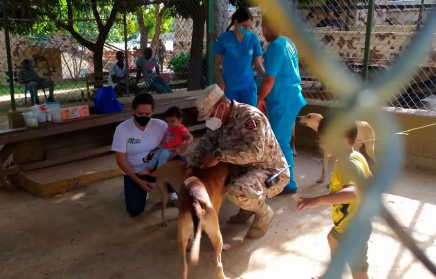 Fundación vacuna a Firulais y a otros perros en la frontera