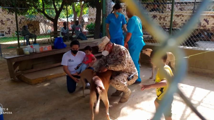 Fundación vacuna a Firulais y a otros perros en la frontera