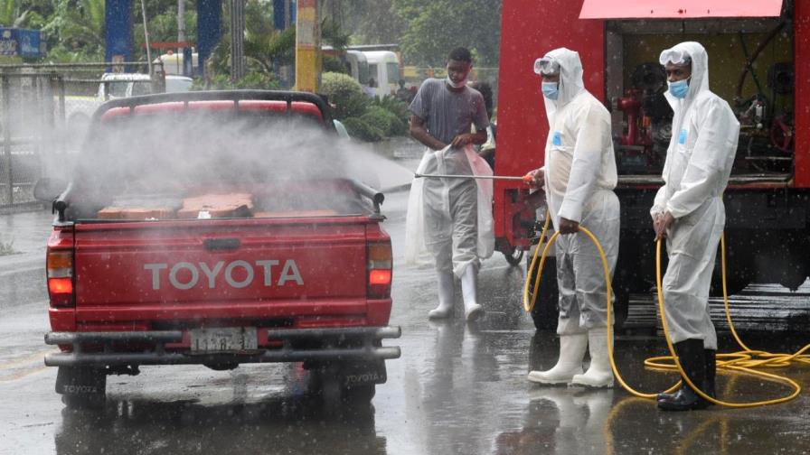 Fiebre porcina se expande a 11 provincias del país, pero enfermedad no afecta a consumidores