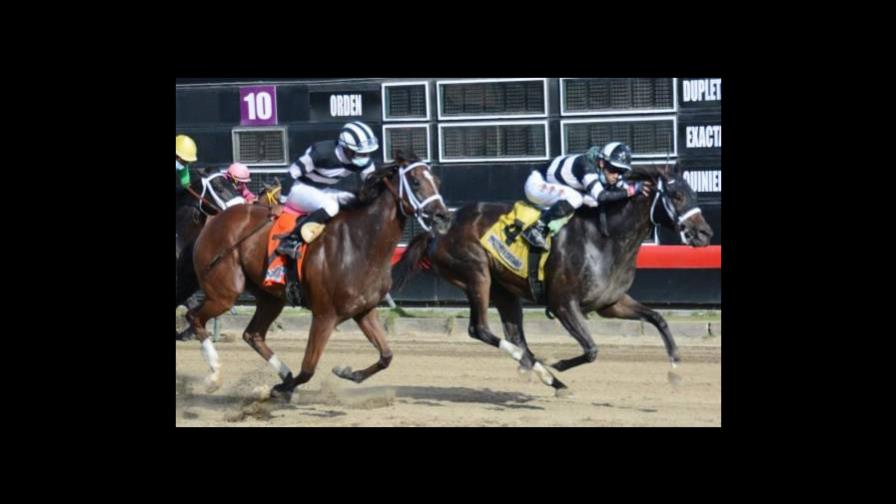 Muere fanático mientras presenciaba cartelera en el Hipódromo V Centenario