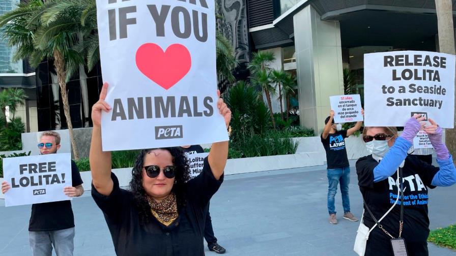 Activistas contra el maltrato animal piden liberar en Miami a la orca Lolita