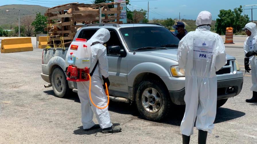 Refuerzan desinfección para control de la peste porcina africana