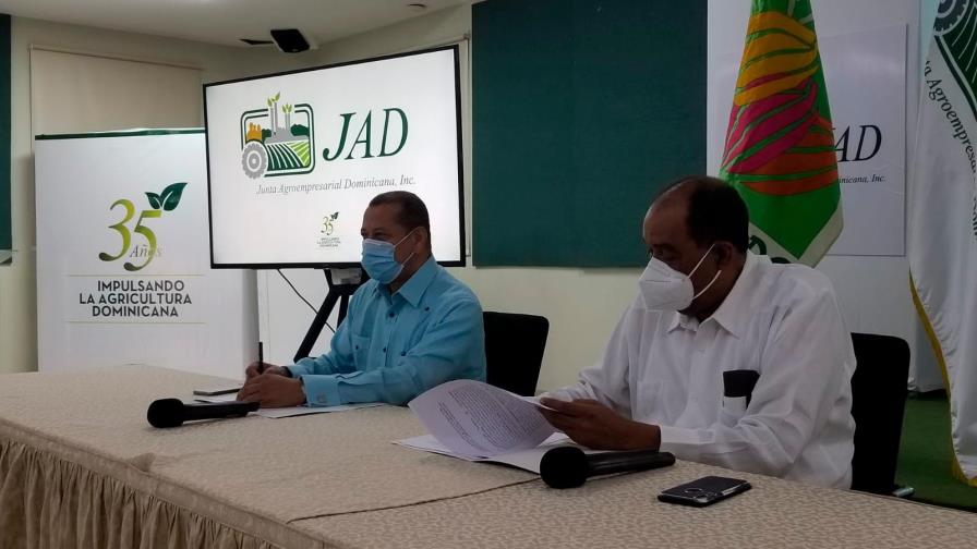 República Dominicana exporta cerca de US$200 millones en cacao cada año República Dominicana exporta cerca de US$200 millones en cacao cada año