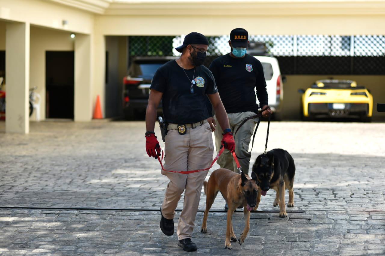 Se observaron varias unidades caninas en el entorno de la torre.