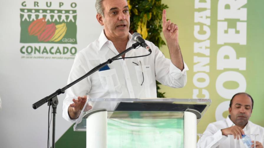 Gobierno comprará 600 megavatios de electricidad la próxima semana