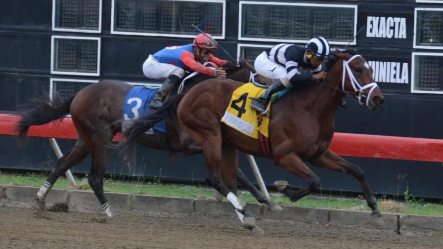 Don Martín gana en el V Centenario; pool paga sobre los RD$9,000.00 mil