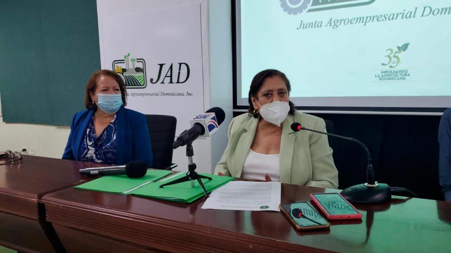 Anuncian subasta de equipos para constructoras, dueños de hoteleros, bares y restaurantes Anuncian subasta de equipos para constructoras, dueños de hoteleros, bares y restaurantes