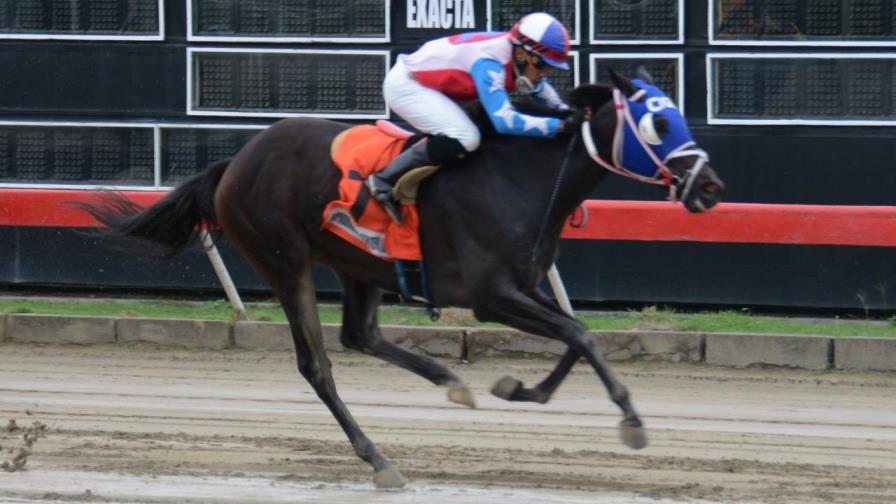 Triunfos de Sky’s The Limit y Mar de Trebol provocan pago de pool sobre 115 mil pesos