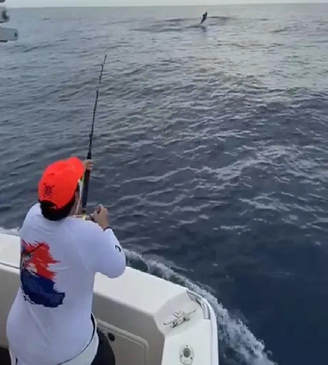 La lancha domina domina el primer día en Cabeza Toro, en la 30 versión de pesca al Marlin Azul, 2021, con 1,600 puntos; en el segundo lugar Grace con mil puntos lo mismo que la Sisu.  (Fuente externa)