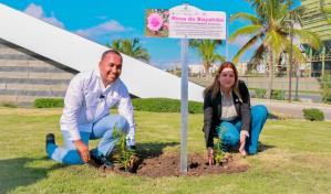 Promueven la Flor Nacional “Rosa de Bayahíbe” en aeropuertos del país
