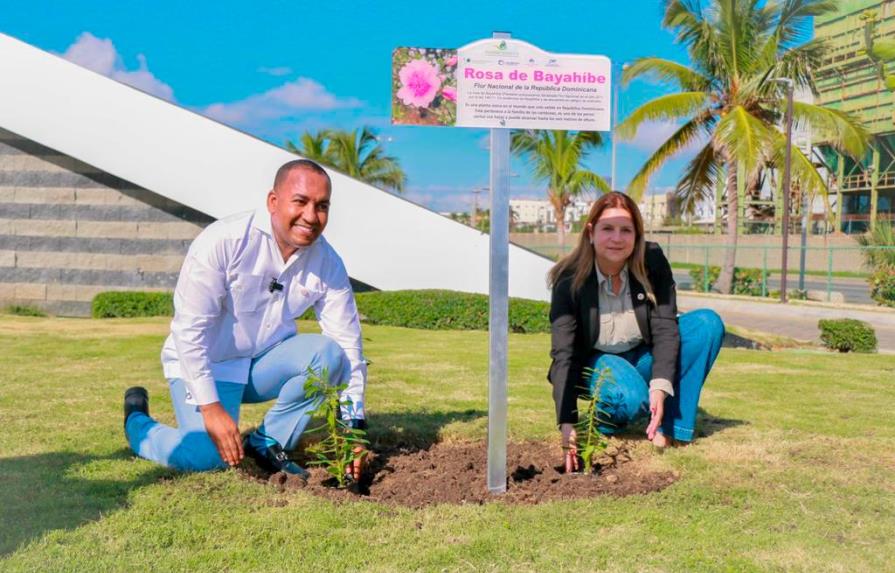 Promueven la Flor Nacional “Rosa de Bayahíbe” en aeropuertos del país