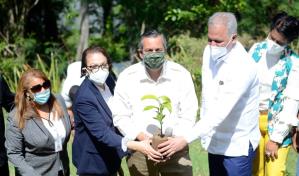 Plan Sierra inicia reforestación 20 mil tareas de árboles en amortiguamiento de la presa Tavera-Bao