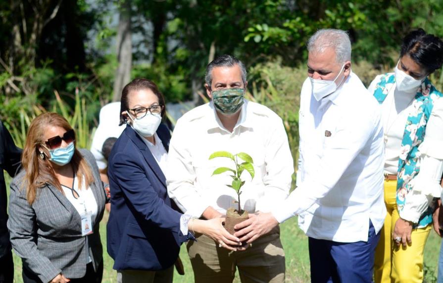 Plan Sierra inicia reforestación 20 mil tareas de árboles en amortiguamiento de la presa Tavera-Bao