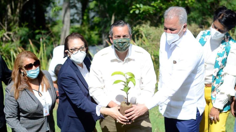 Plan Sierra inicia reforestación 20 mil tareas de árboles en amortiguamiento de la presa Tavera-Bao