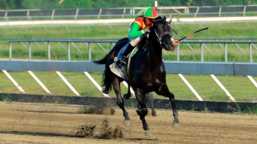 Sardegna’s Woman gana a importados en el V Centenario; pool paga sobre los 8 mil pesos