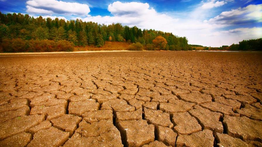 La propuesta de la ONU para limitar a 1,5 grados el calentamiento La propuesta de la ONU para limitar a 1,5 grados el calentamiento