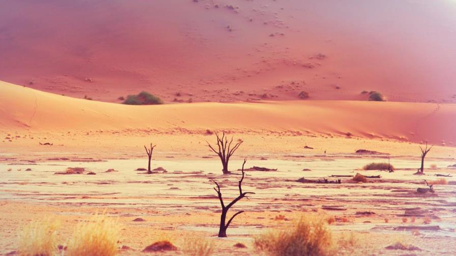 Los compromisos climáticos de los principales países emisores