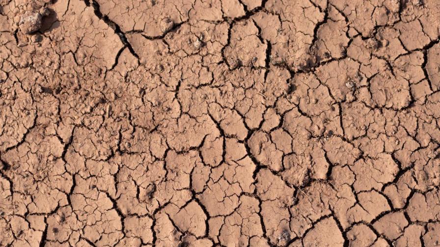 República Dominicana insta a la actuación inmediata para salvar las islas