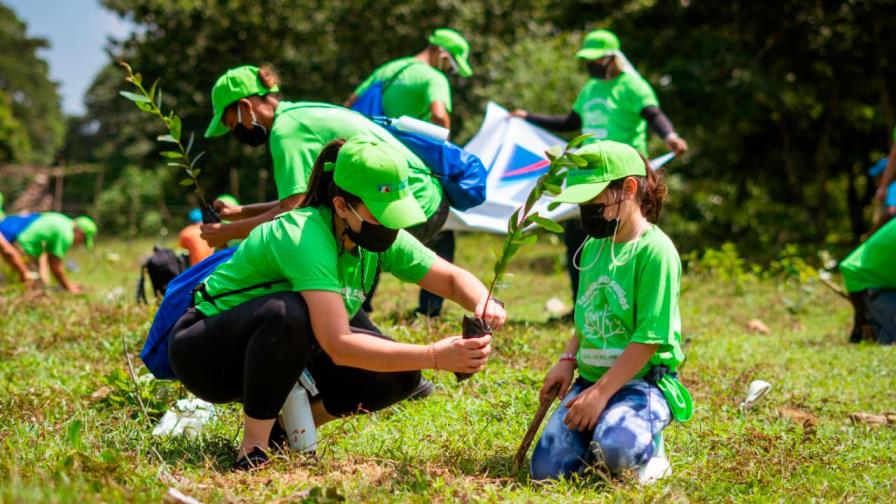Realizan  jornada de reforestación en Bonao